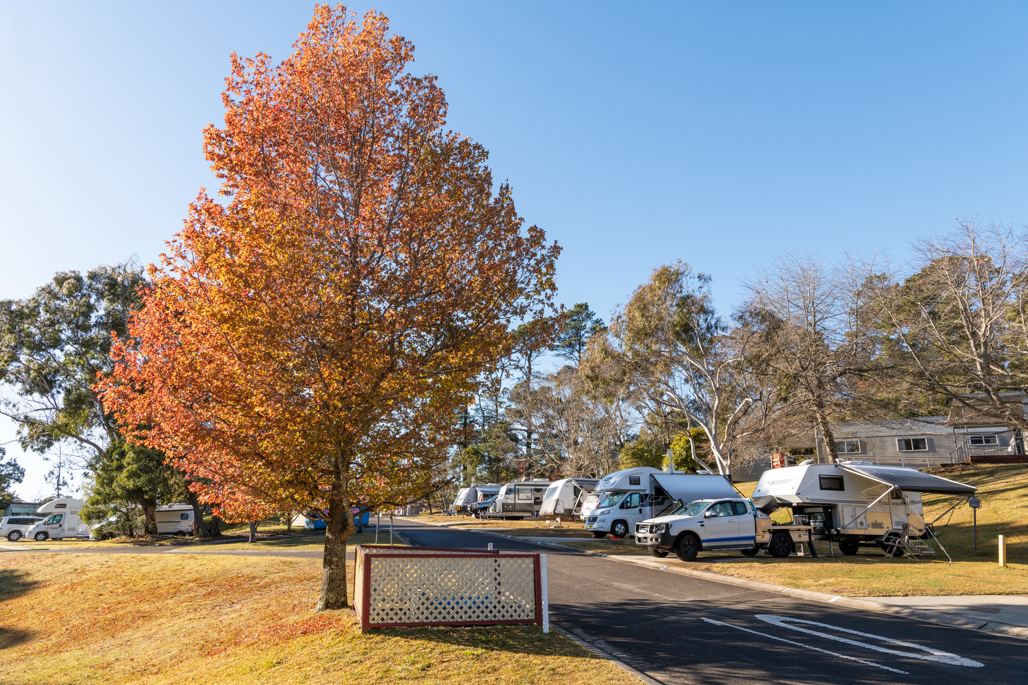 Blackheath Glen Tourist Park - Main photo